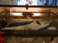 /album/cmi-madrid-santuario-de-madre-carmem-salles-/a484390-340182792721876-1365578444-n-jpg/